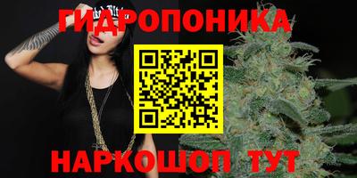 ECSTASY Ачхой-Мартан