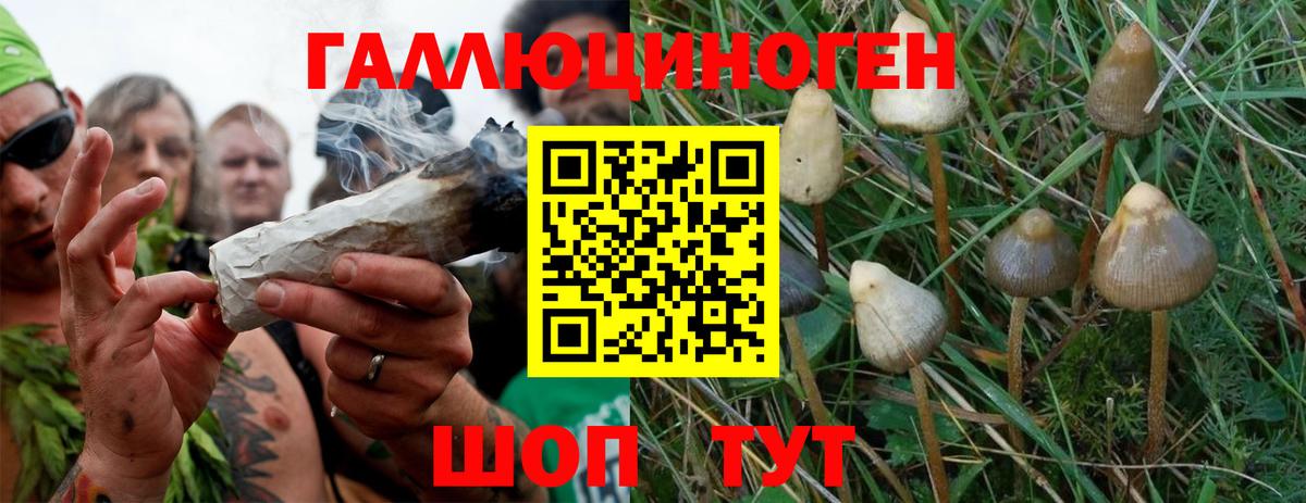 Галлюциногенные грибы мухоморы Асбест
