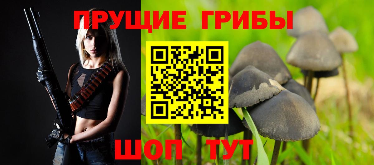 Асбест  Галлюциногенные грибы прущие грибы  Вход с VPN 